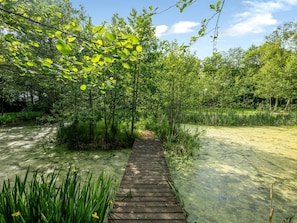 A wooden boardwalk through a dense, green forest with a clear sky. - "Blaguna" - 9km to the fjord by Interhome (Tarm)
