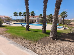 Un área de piscina con palmeras, sillas de descanso y un cielo azul despejado.