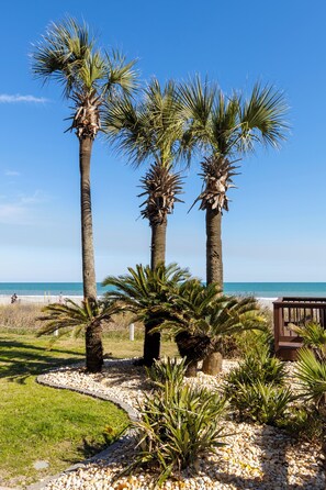 Ein Strand mit Palmen, einer Holzterrasse und blauem Himmel.