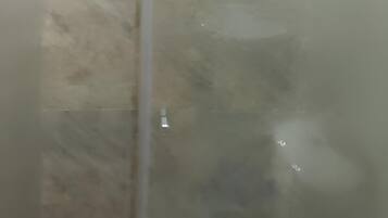 Shower, towels, soap, toilet paper