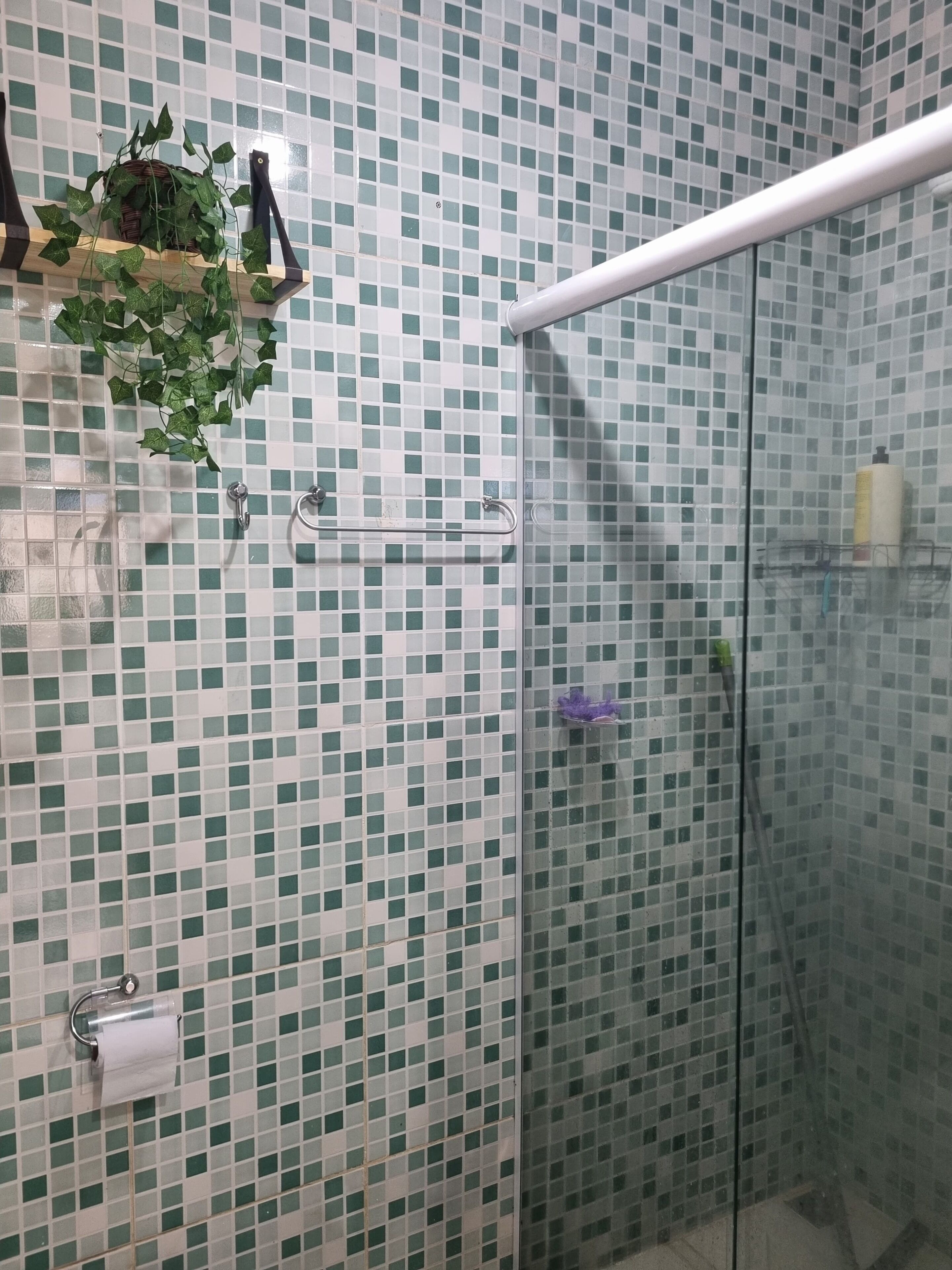 Chuveiro com porta de vidro, porta-toalhas e rolo de papel higiênico.