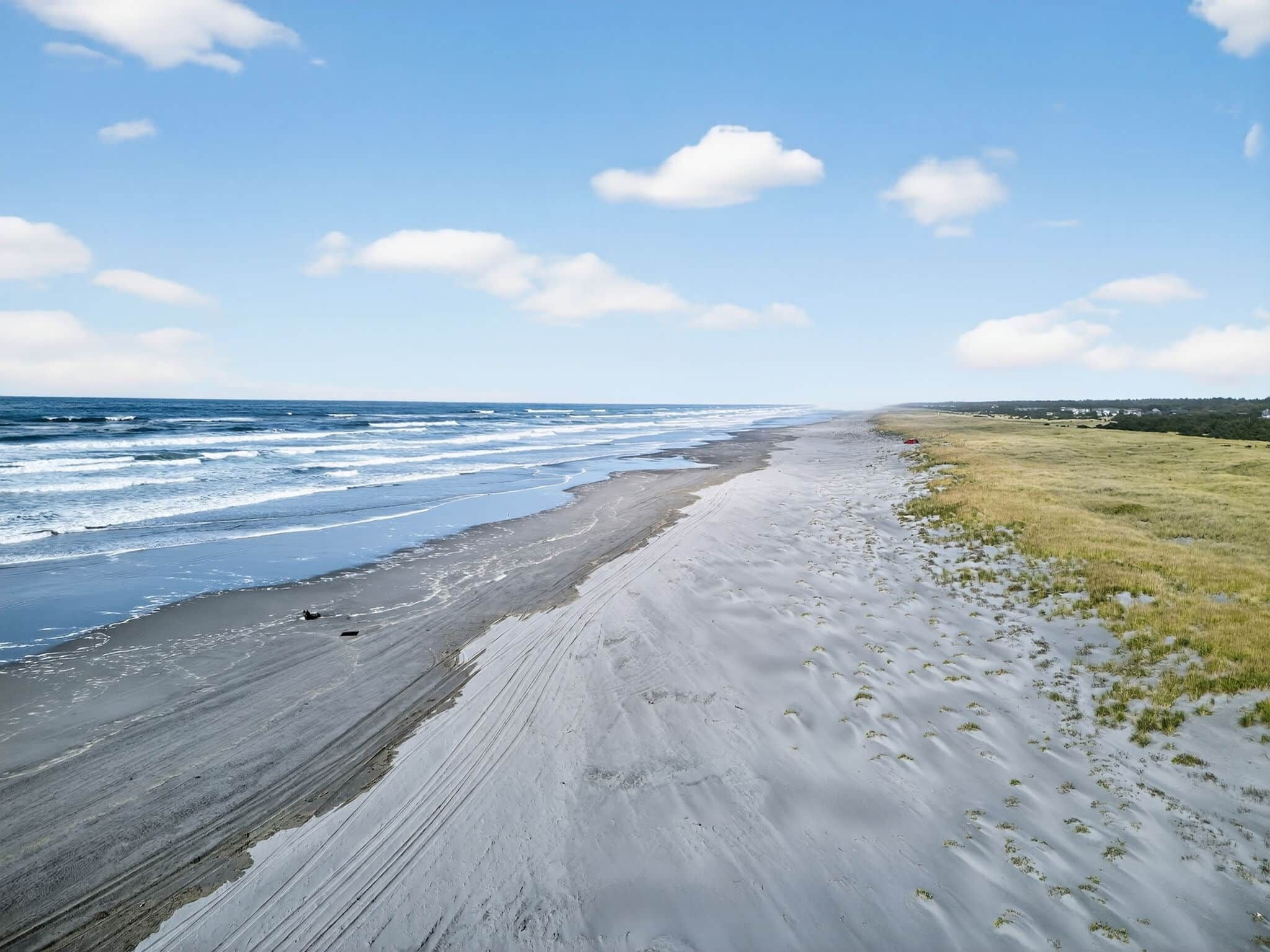 Une plage avec une vaste étendue de sable et un champ d’herbe.