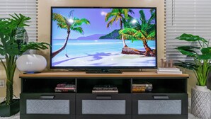 Ein Fernseher auf einem Holzboden, mit einer tropischen Strandansicht, einem weißen, flauschigen Teppich und einer Pflanze seitlich.