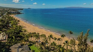 Une plage bordée de palmiers, un hôtel et un océan d’un bleu limpide.