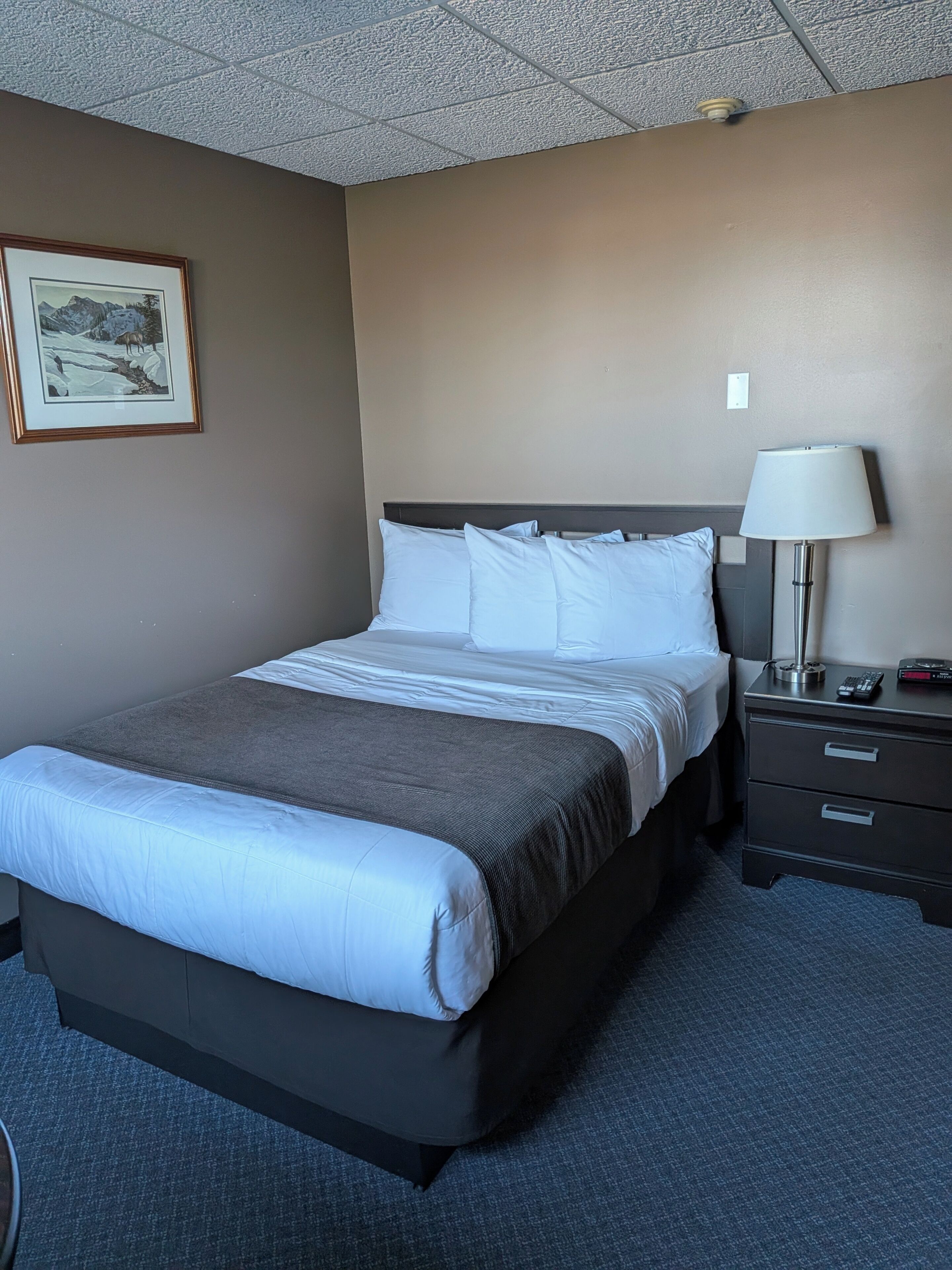 Dobbeltværelse - mikrobølgeovn