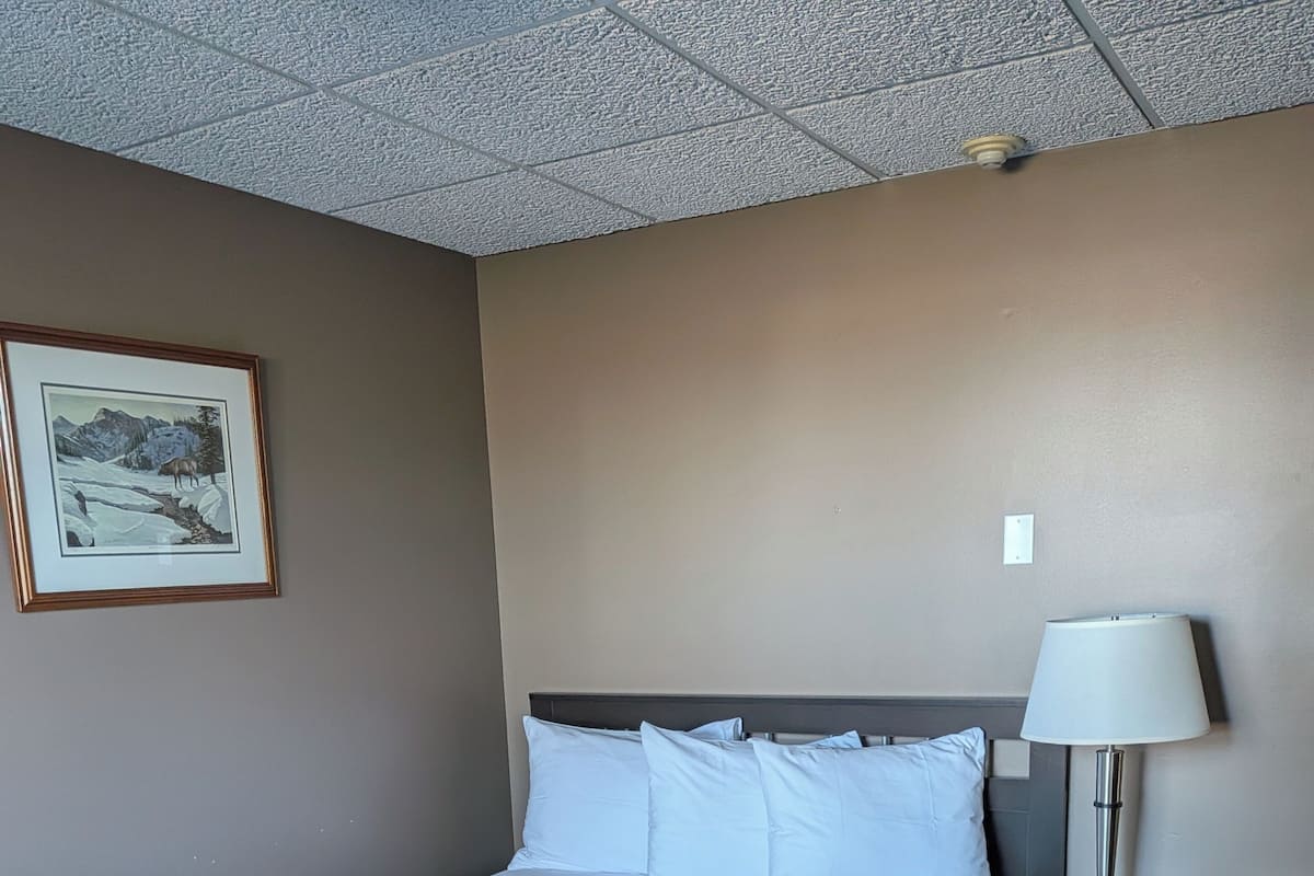 Dobbeltværelse - mikrobølgeovn