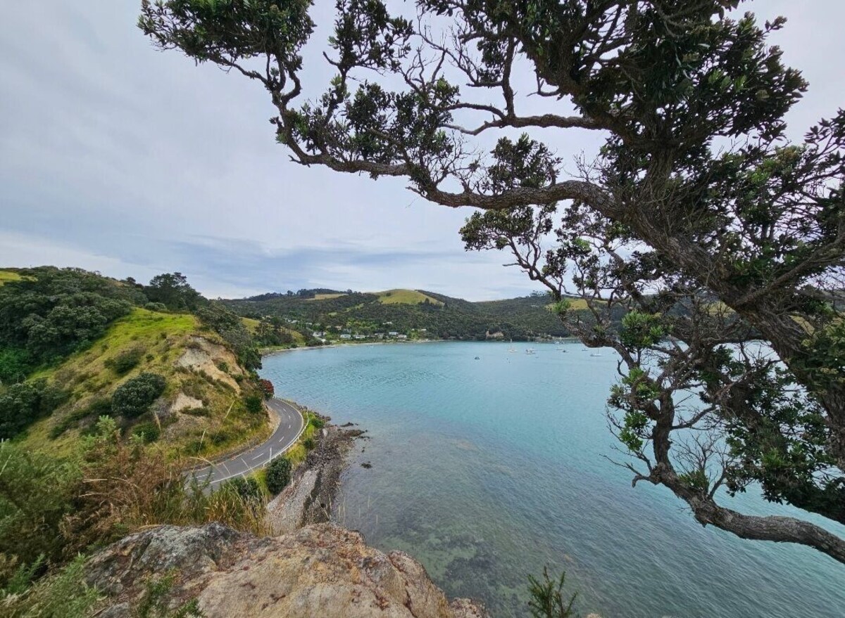 Imagen de perfil del propietario o de la propietaria