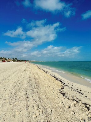 Beach - Beautiful Beachfront Garden House in Playa Mujeres (Quintana Rio)