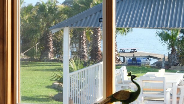 A view through a window with a patio area, including a white fence, palm trees, and a body of water. - Waterfront retreat w/private dock, kayaks & animal encounters (Tooradin)