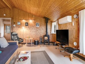 Una televisión, una chimenea