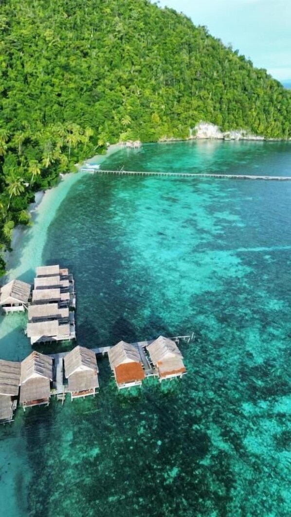 Deluxe Double Room, Balcony, Overwater | Beach