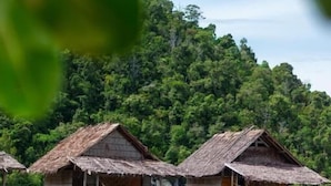 Des bungalows sur pilotis, avec toits de chaume, des structures en bois et une eau turquoise cristalline.