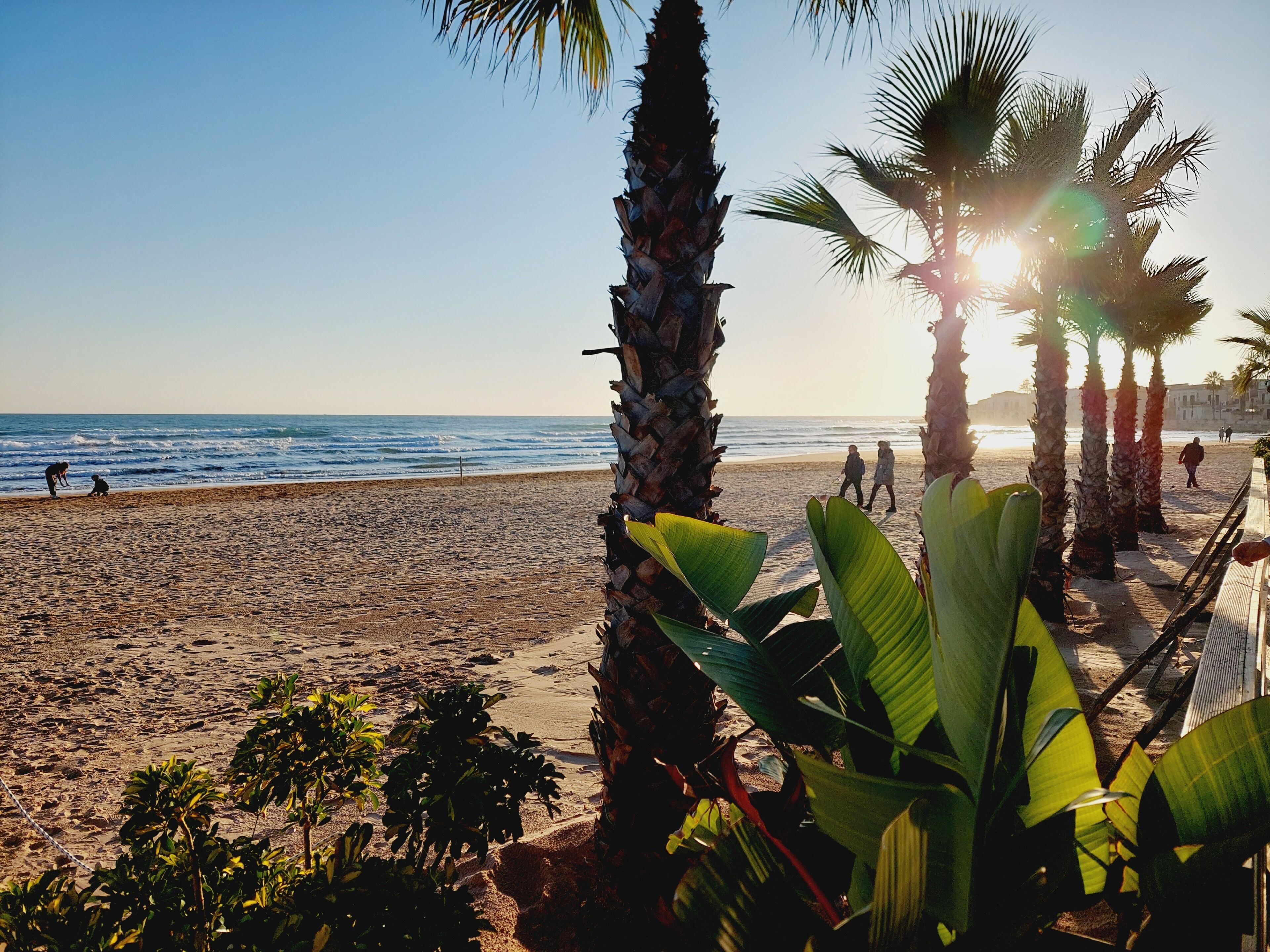Beach