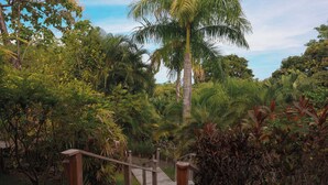 A wooden staircase leading through a lush garden with various tropical plants and a palm tree. - Garden Heights Studio at Taru Rentals (Montezuma)