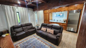TV, fireplace, table tennis