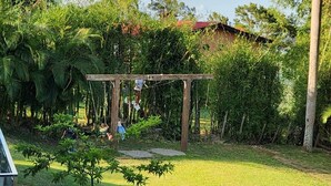 A garden with a wooden pergola, lush greenery, and a building in the background.
