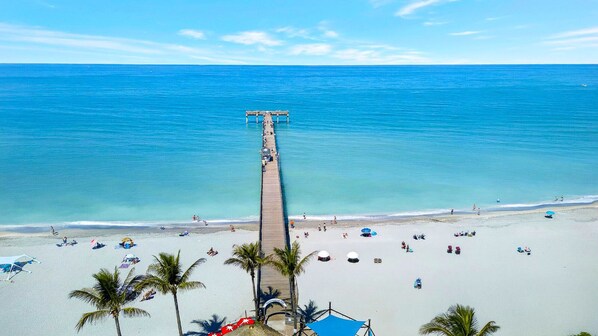 A beach with a wooden pier extending into the ocean, palm trees, and beachgoers.