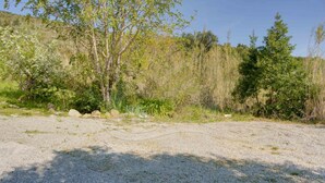 Ein Kiesgrundstück mit vereinzelter Vegetation und Bäumen.