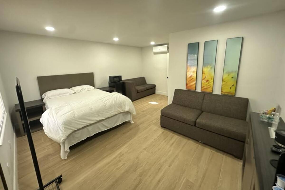 Deluxe Single Room, 1 Queen Bed with Sofa bed, Non Smoking