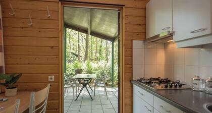 Delightful vacation home with terrace.