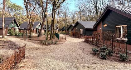 Villa en bois durable avec tout le confort