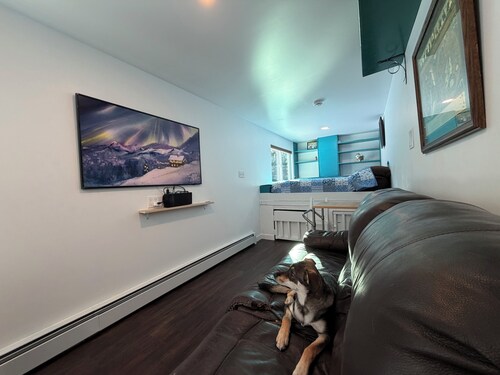 Cozy Container: A Shipping Container Retreat for Pups & People.