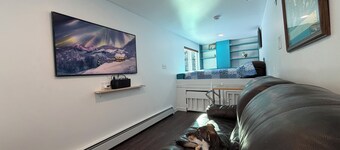 Cozy Container: A Shipping Container Retreat for Pups & People.