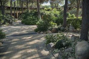 A paved pathway leading through a landscaped garden with trees and rocks. - Abbaechelu to Santa Margherita Pula (Pula)