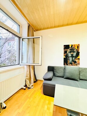 Basic Room | View from room