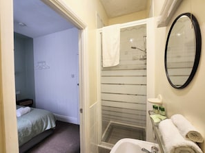 Een badkamer met een douche, een wastafel en een spiegel, en een bed in de aangrenzende kamer.