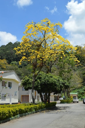 Exterior - H1 Exceptional Location near Historic Center (Popayán)
