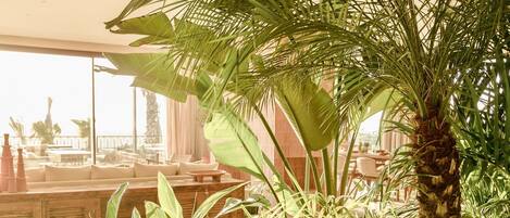 A terrace with potted plants, a wooden bench, and a view of the outside.