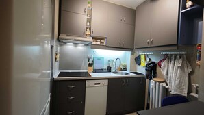 A compact kitchen with a stove, sink, and cabinets. - House of Mirrors Belgrade (Beograd)