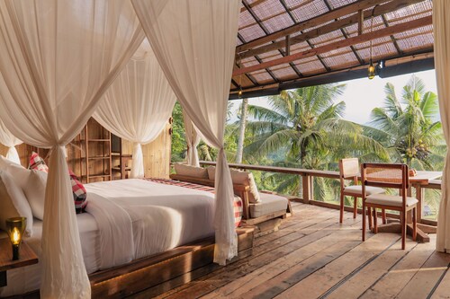 Hidden Jungle Gem with Jungle and Rice Field View