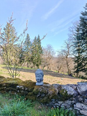 Immagine non classificata, 5 di 6, pulsante