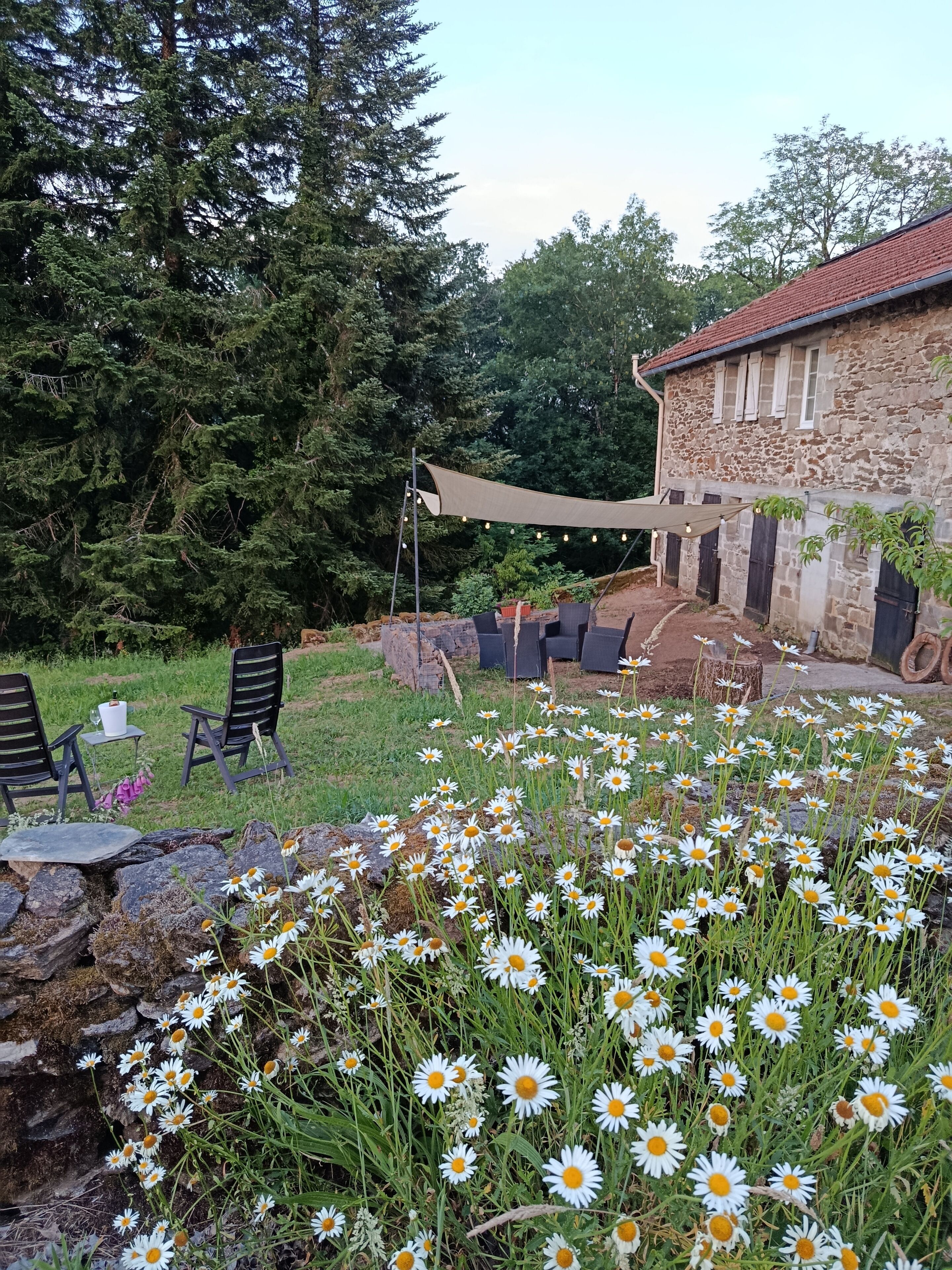 A stone building with a red-tiled roof, surrounded by a garden with white daisies and a shaded seating area with chairs.