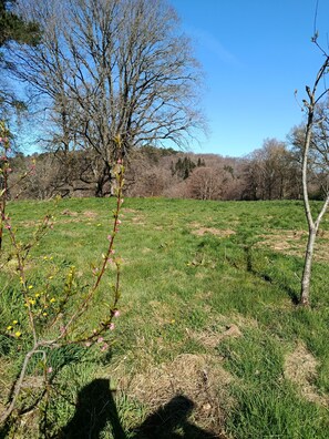 Miscellaneous - Quiet apartment on the edge of a forest (Sousceyrac-en-Quercy)