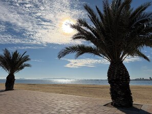 A paved walkway with palm trees and a view of the sea. - Nido del Spinoij - a place where you can truly unwind (San Pedro del Pinatar)