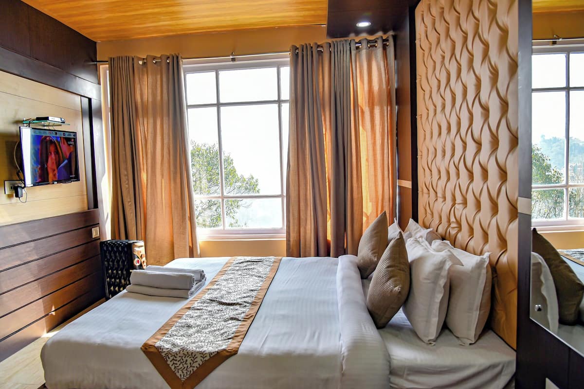A hotel room with a bed, curtains, a television, and a window with a view.
