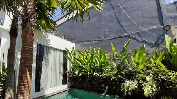 Una piscina con cubierta de madera, rodeada de exuberante vegetación tropical y palmeras.