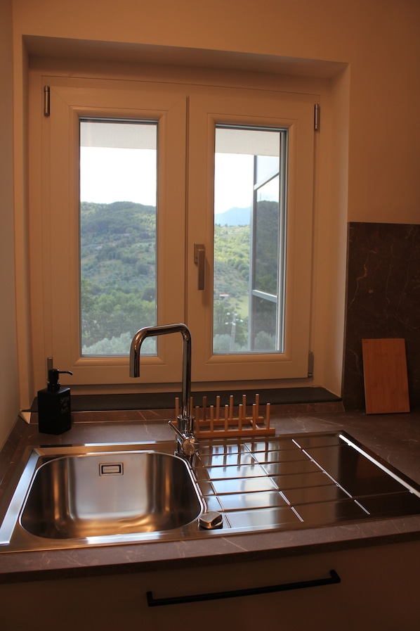 Fridge, microwave, stovetop, cookware/dishes/utensils