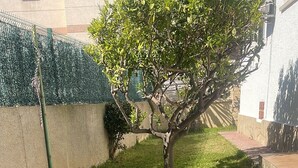 Eine Rasenfläche mit einem Baum und einem Zaun.