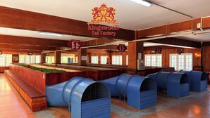 A spacious tea factory with wooden interiors, large blue cooling units, and signs indicating different brewing methods. - Kingswood Tea Factory (Ramboda)