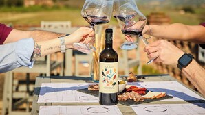 A wine tasting event with a bottle of Golo Orio wine, glasses, and a table with food and documents. - Tenuta Golo (Montepulciano)