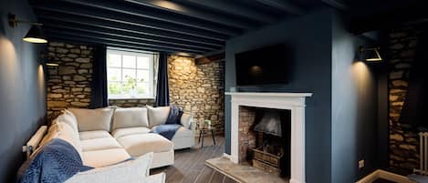 Smart TV, fireplace, books