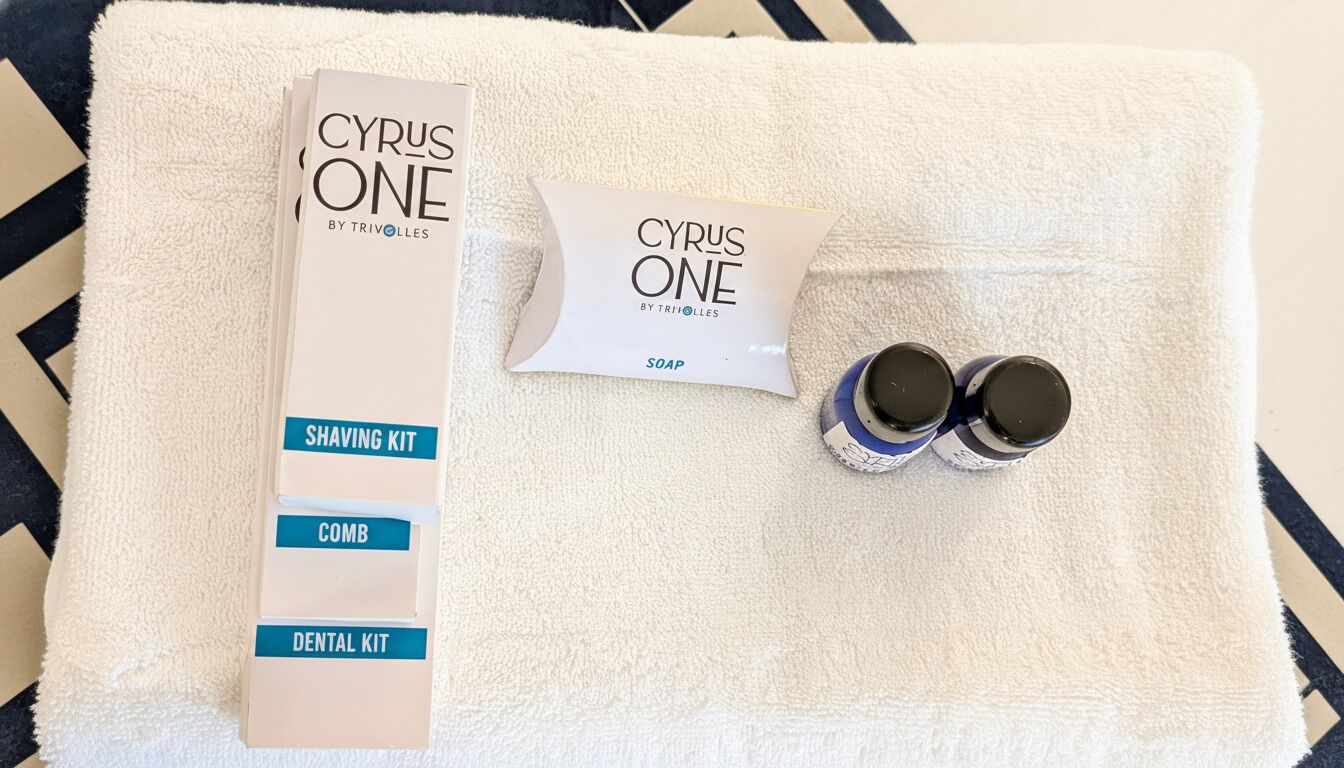 Habitación doble estándar, vista a la ciudad | Amenidades de baño