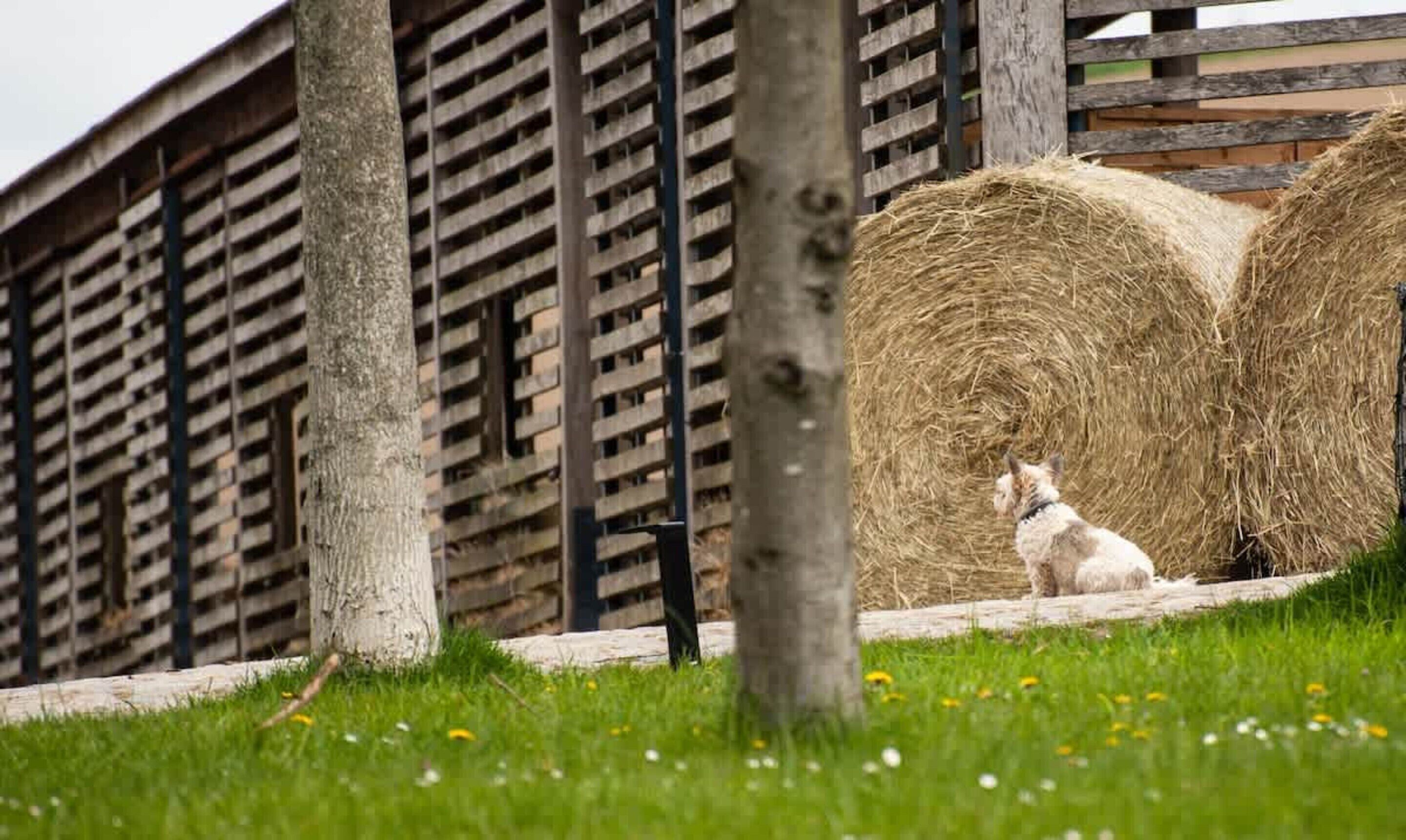 Leilighet | Utsikt fra overnattingsstedet