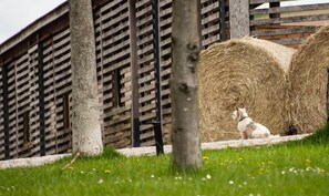 Apartemen | Pemandangan dari properti