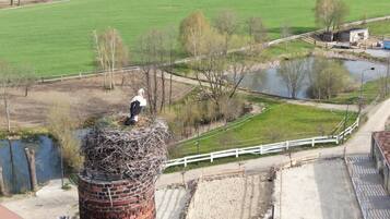 Apartment | View from property