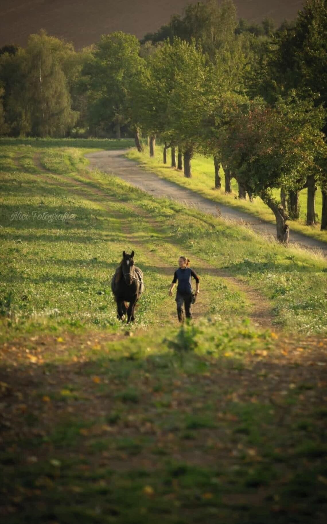 Apartemen | Pemandangan dari properti